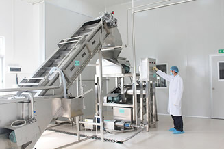 火龍果酒工程案例